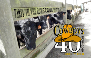 Cows Come Home